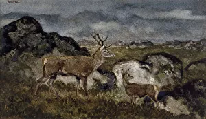 Moorland Prints: Stag and Doe, c1850s-1860s. Creator: Antoine-Louis Barye