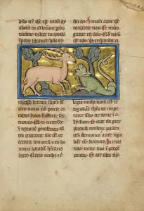 Bestiary Prints: A Stag before a Dragon-like Snake; De Natura Avium; De Pastoribus et Ovibus
