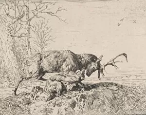 Stag Gallery: Stag Fighting a Wolf, after Antoine Louis Barye, 1846. Creator: Charles Emile Jacque