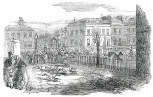 Londoners Prints: Stag Hunt in the New-Road on Tuesday, 1850. Creator: Unknown