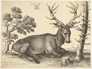 A Durer Gallery: Stag lying to right, 1649. Creator: Wenceslaus Hollar