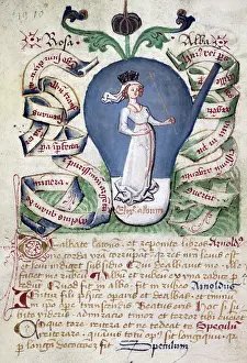 Alembic Prints: The stage of the white elixir, a queen or Rosa alba (the white rose)