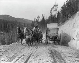 Wyoming United States Of America Prints: Two stagecoaches passing on mountain road