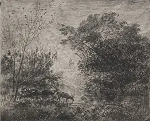Cliche Verre Prints: Stags, 1862. Creator: Charles Francois Daubigny (French, 1817-1878)