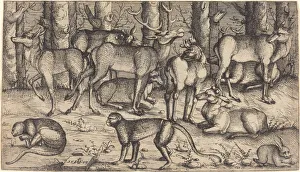 Stags in the Forest, 1545. Creator: Augustin Hirschvogel