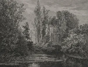 1817 1878 Prints: Stags at the waters edge, 1850. Creator: Charles Francois Daubigny (French, 1817-1878)