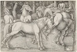 Baldung Baldung Grien Prints: Stallion and Kicking Mare, 1534. Creator: Baldung (Baldung Grien), Hans (1484-1545)
