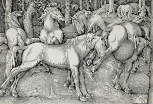 Stallion and Kicking Mare with Wild Horses, 1534. Creator: Hans Baldung