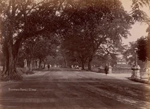 Singapore Prints: Stamford Road, Singapore, 1860s-70s. Creator: Unknown