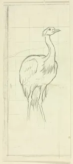 Alert Prints: Standing Bird, n. d. Creator: Henry Stacy Marks