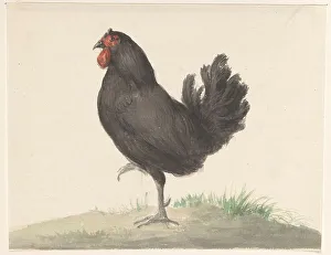 Standing black chicken, 1775-1833. Creator: Jean Bernard