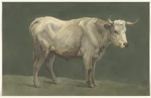 Jean Bernard Prints: Standing bull, to the right, 1775-1833. Creator: Jean Bernard
