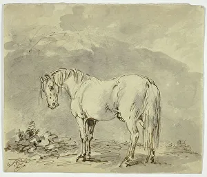 Gilpin Sawrey Prints: Standing Horse with Head Turned, n.d. Creator: Sawrey Gilpin