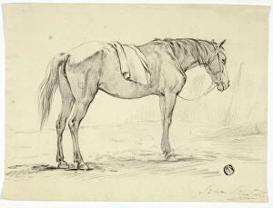Standing Horse, n.d. Creator: Unknown