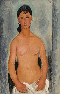 Expressionism Collection: Standing Nude, 1918. Artist: Modigliani, Amedeo (1884-1920)