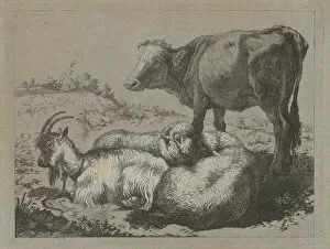 Standing Ox, Two Sheep, and a Goat, c. 1762. Creator: Francesco Londonio