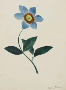 Mary Altha Nims American Prints: Star Flower. Creator: Mary Altha Nims (American, 1817-1907)