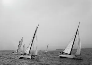 Johnston Js Prints: Start, Indian Harbour Regatta, 1893 July 29. Creator: Johns Johnston