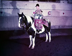 Drummer Prints: State drummer on horse, London, c1953. Creator: Arthur Charles Kirby Ware