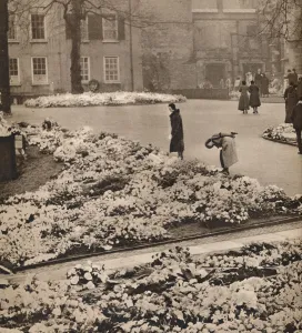 State Funeral Prints: The State Funeral of King George V at Windsor: memorial wreaths, 1936