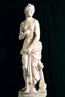 Chaste Gallery: Statue of the chaste Venus, from Carthage