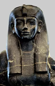 Egyptian Art Gallery: Statue of Queen Teie, consort of Amenhotep III
