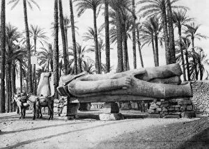 Images Dated 27th June 2008: The Statue of Rameses II, Cairo, Egypt, c1920s