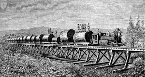 Trunks Prints: Steam train carrying trunks of giant trees in California, engraving of 1886