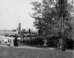 Plantation Prints: Steamer landing, Magnolia-on-the-Ashley