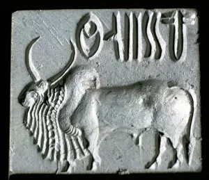 Hump Gallery: Steatite seal with humped bull, Indus Valley, Mohenjo-Daro, 2500 - 2000 BC