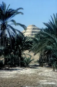 Step Pyramid (behind palms) of King Djoser (Zozer), Saqqara, Egypt, 3rd Dynasty, c2600 BC Step Pyramid (behind palms) of King Djoser (Zozer), Saqqara, Egypt, 3rd Dynasty, c2600 BC
