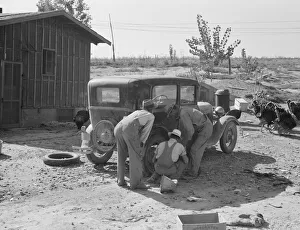 Ford Car Prints: Stephens brothers, who own combine cooperatively