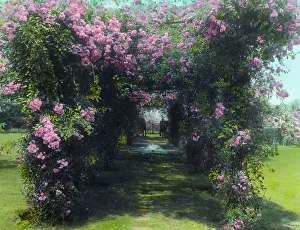 Bower Prints: The Steppingstones, Annie May Hegeman house