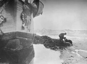 Farthest North Prints: The Stern of the Fram. Johansen and Sultan, 16 June, 1894, (1897)