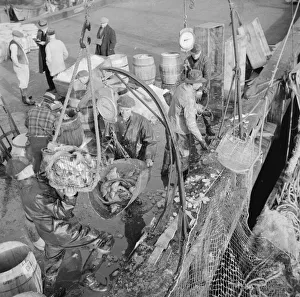Stevedores at the Fulton fish market unloading fish from boats caught... New York, 1943. Creator: Gordon Parks