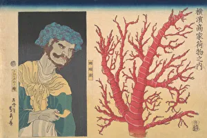 Images Dated 2020 October: 20 Oct 2020 Collection