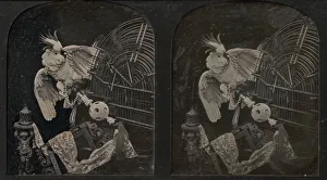 Cockatoo Prints: Still-Life with Cockatoo, Ornamental Ball, Lace, Statuette, 1850s
