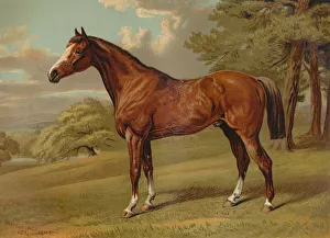 Samuel Sidney Prints: Stilton A Hunter, c1879. Creator: Aldfred Sheldon Williams