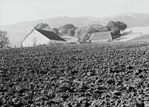 Soil Prints: Stock ranch and plowed field, Contra Costa County