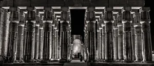 Panoramic Gallery: Stoic Columns of Luxor, Egypt. Creator: Viet Chu