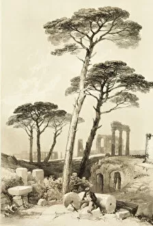 Images Dated 10th February 2022: Stone Pines, from The Park and the Forest, 1841. Creator: James Duffield Harding