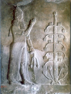 Relief Collection: Stone relief of Sargon I standing before a tree of life, 24th-23rd century BC