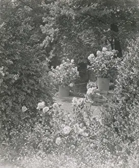 Stonehurst, Charles William Henry house, Cherokee Street, Chestnut Hill, Pennsylvania, 1919. Creator: Frances Benjamin Johnston. Stonehurst, Charles William Henry house, Cherokee Street, Chestnut Hill, Pennsylvania, 1919