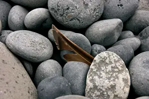 Tom Artin Prints: Stones, Iceland B. Creator: Tom Artin