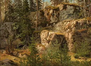 Larson Simeon Markus Prints: Stony Forest, 1853. Creator: Markus Larsson