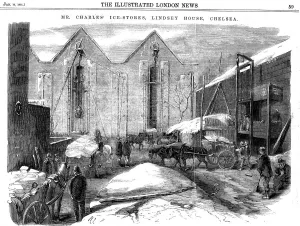 Storing ice in insulated sheds at Charless Ice Store, Chelsea, London, 1861