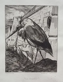 The Storks, 1865. Creator: Felix Bracquemond (French, 1833-1914);Cadart & Luquet, Paris