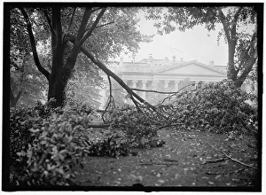 Storm Damage Prints: Storm Damage, between 1913 and 1918