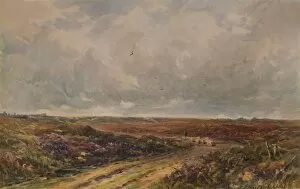 Catalogue Of Pictures Collection: Stormy Day on a Surrey Common, 19th-20th century, (1935). Artist: John Jessop Hardwick