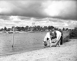 Pony Prints: Strand-on-the-Green, London, c1955. Creator: Arthur Charles Kirby Ware